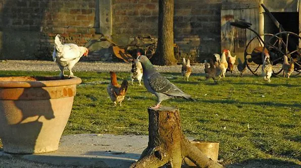 Farm stay La Spagnera San Pietro in Vincoli